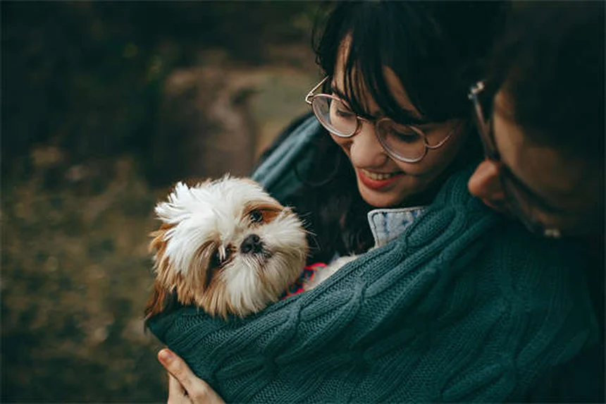 Perigos de tratar seu pet em casa: 10 riscos que você precisa conhecer